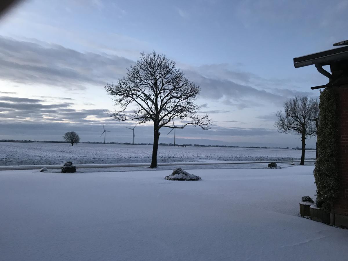 Elbe Ferienwohnung Gluckstadt Eksteriør billede